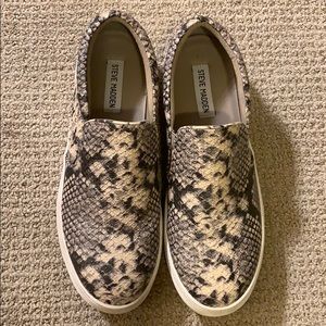 Steve Madden Snake Print Gills Slip On Sneaker